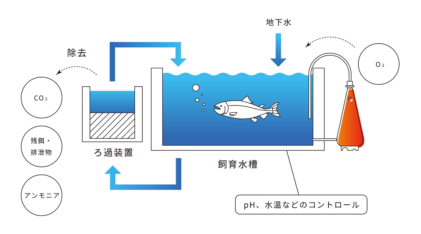 陸上養殖説明イメージ